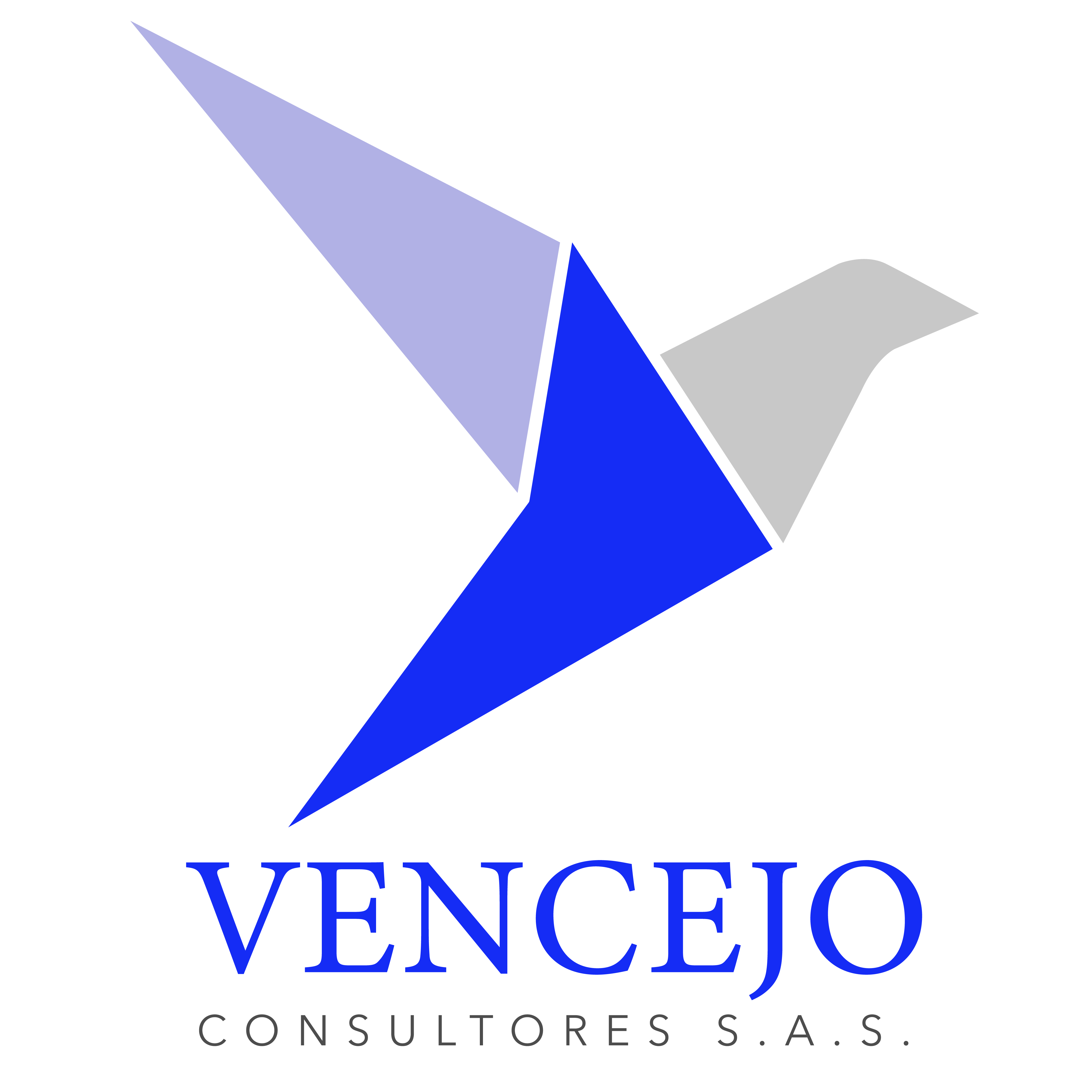 Vencejo Consultores S.A.S.